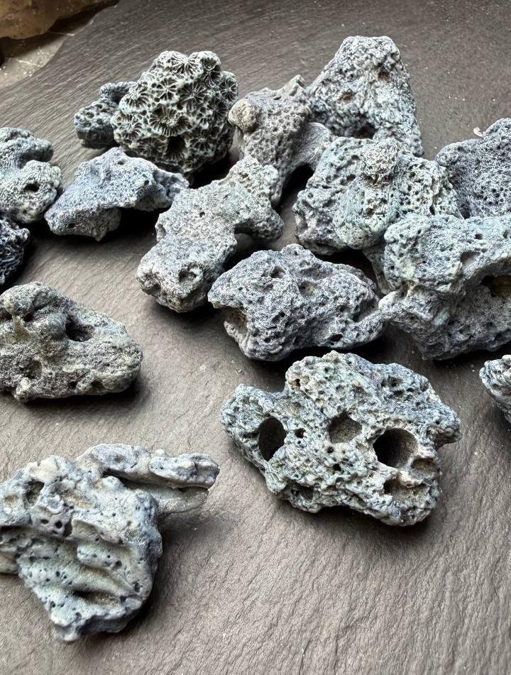 картинка Коралл Голубой Природный Крупный от магазина Одежда+