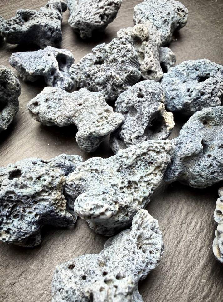 картинка Коралл Голубой Природный Крупный от магазина Одежда+