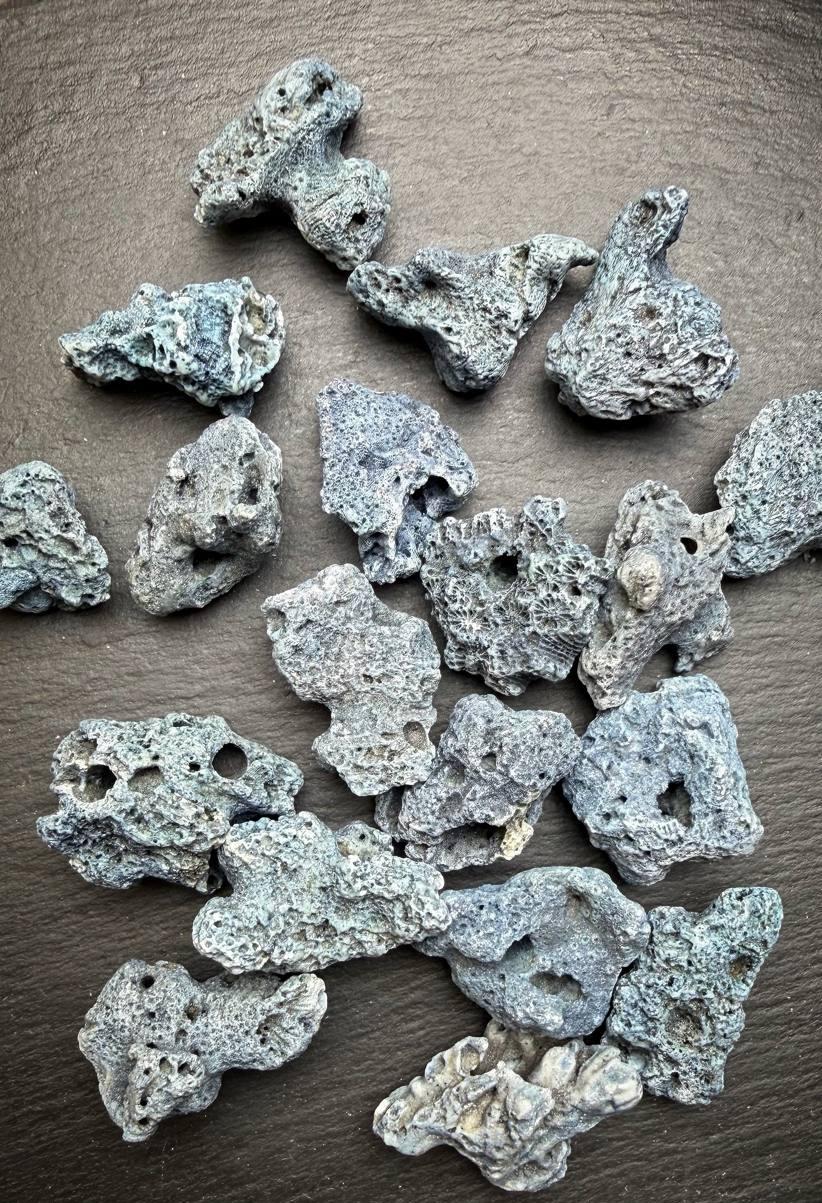 картинка Коралл Голубой Природный Крупный от магазина Одежда+