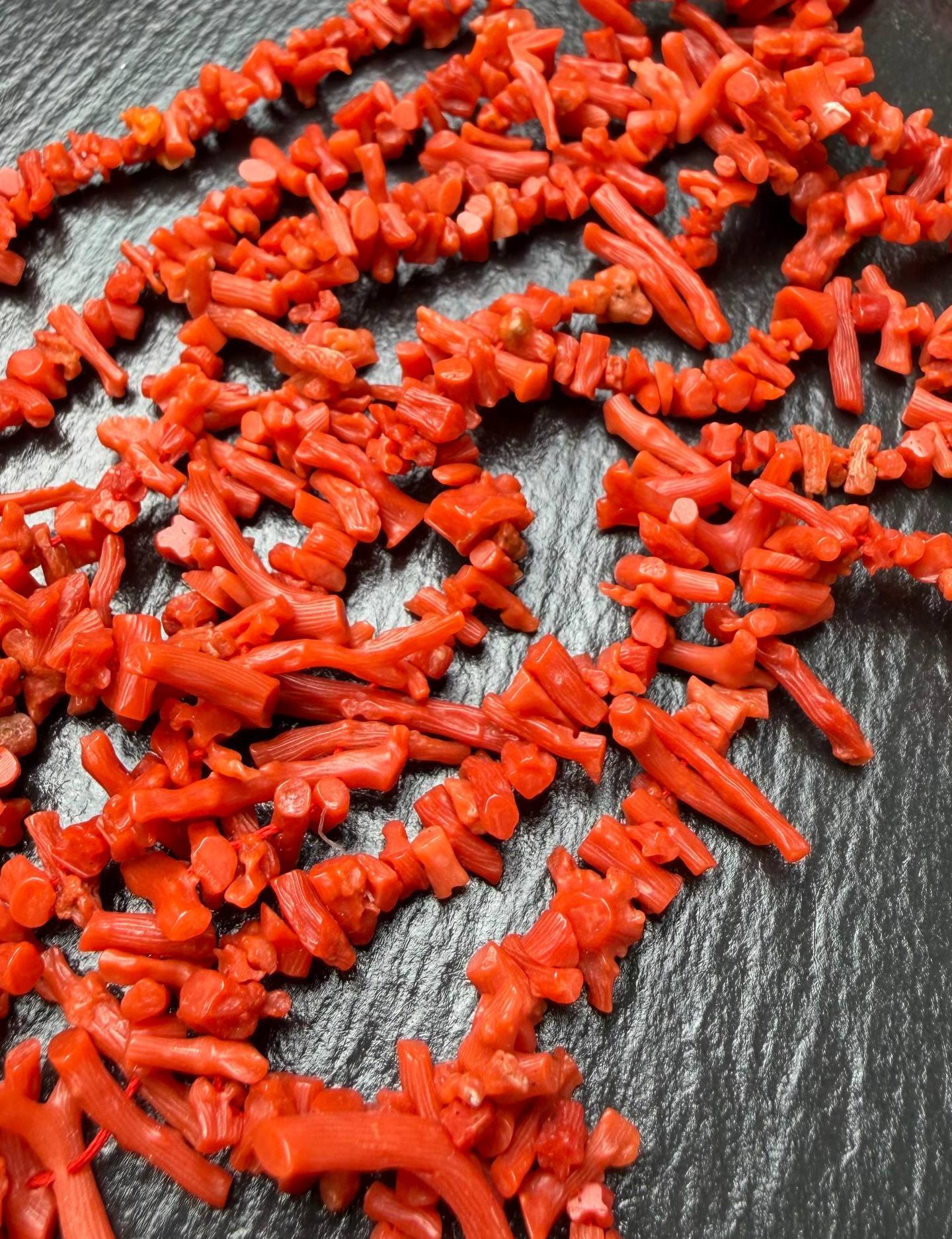 картинка Коралл Красный  от магазина Одежда+